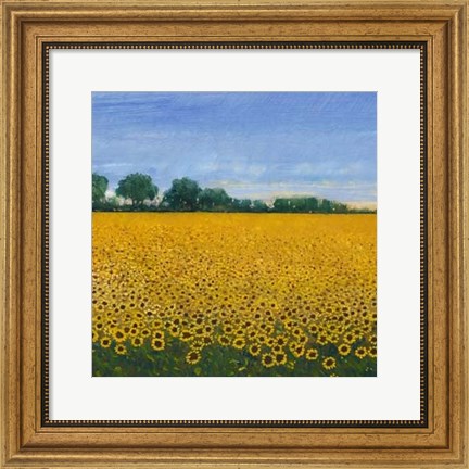 Framed Field of Sunflowers I Print