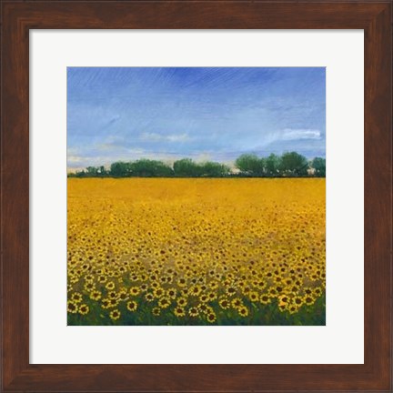 Framed Field of Sunflowers II Print