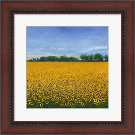 Framed Field of Sunflowers II Print