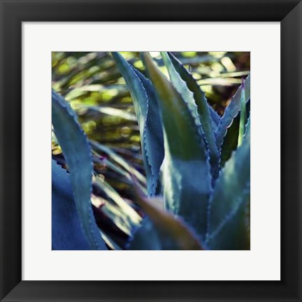 Framed Succulent Vibes II Print