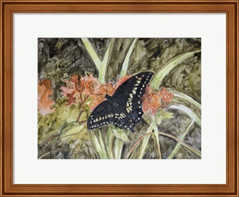 Framed Butterfly in Nature III Print