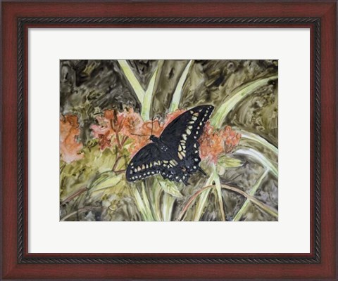 Framed Butterfly in Nature III Print