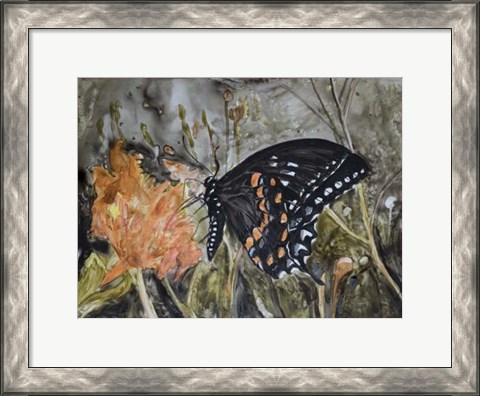 Framed Butterfly in Nature IV Print