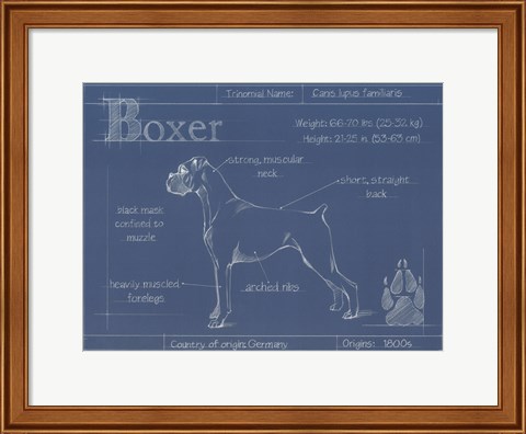 Framed Blueprint Boxer Print