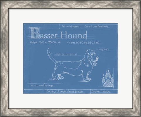 Framed Blueprint Basset Hound Print
