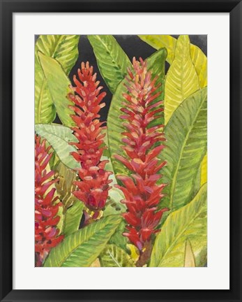 Framed Red Tropical Flowers II Print