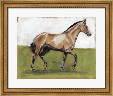 Framed Equestrian Studies III Print