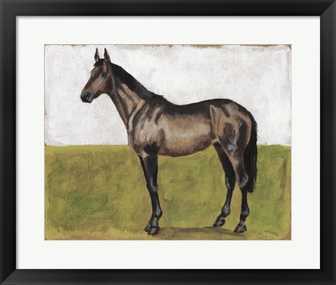 Framed Equestrian Studies IV Print
