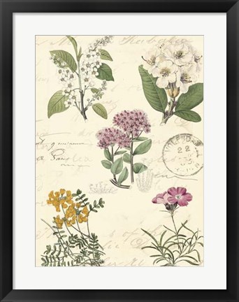 Framed Botanical Journal II Print