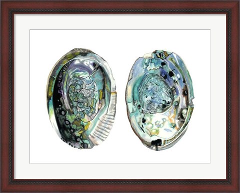 Framed Abalone Shells I Print