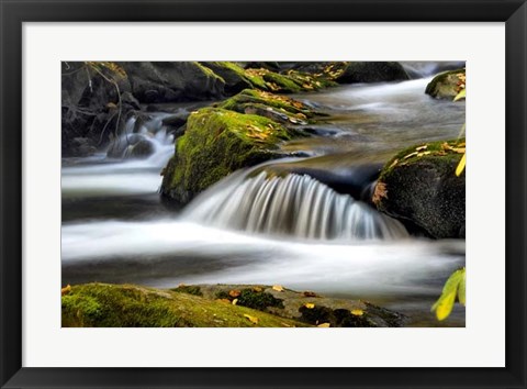 Framed Close to Nature Print