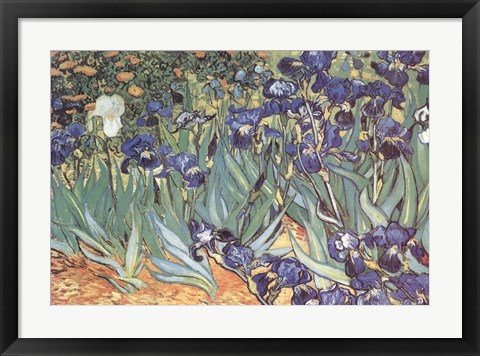 Iris Garden Artwork by Vincent Van Gogh at FramedArt.com