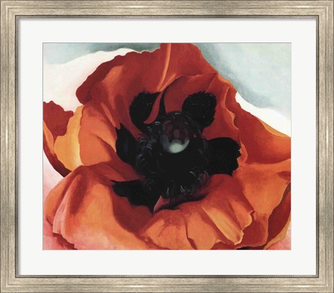 Framed Poppy Print