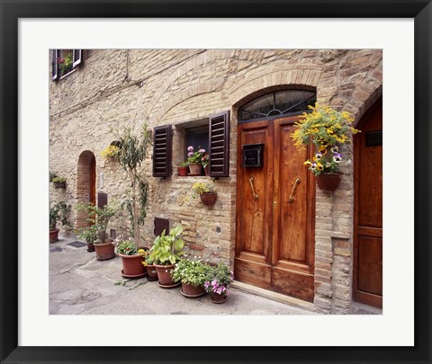 Framed Flowers On The Wall, Tuscany, Italy 06 Print