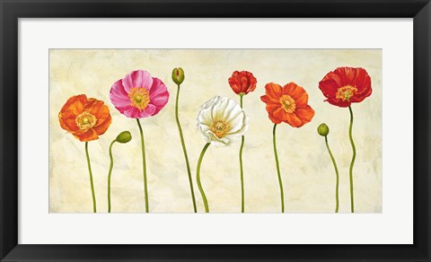 Framed Coquelicots Print