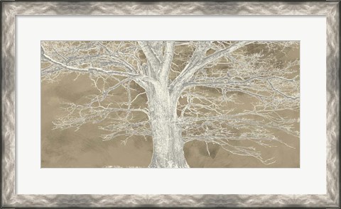 Framed White Oak Print