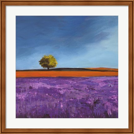 Framed Field of Lavender (Detail) Print