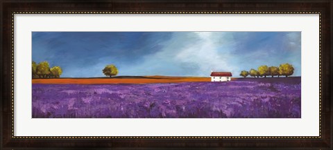 Framed Field of Lavender II Print