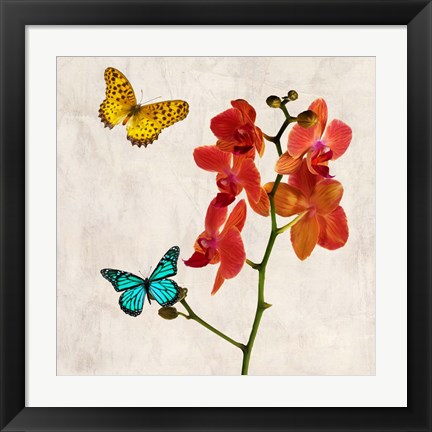 Framed Orchids &amp; Butterflies II Print