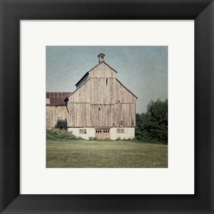 Framed Neutral Country IV Print