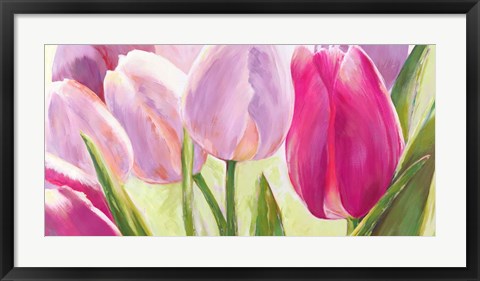 Framed Tulipes I Print