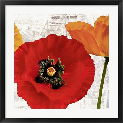 Framed Summer Poppies III Print