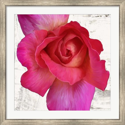 Framed Spring Roses I Print