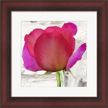 Framed Spring Roses II Print