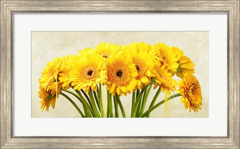 Framed Gerbera Abstraction Print