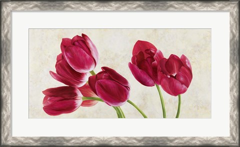 Framed Tulip Concerto Print