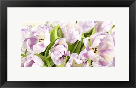 Framed Tulipes en Fleur Print