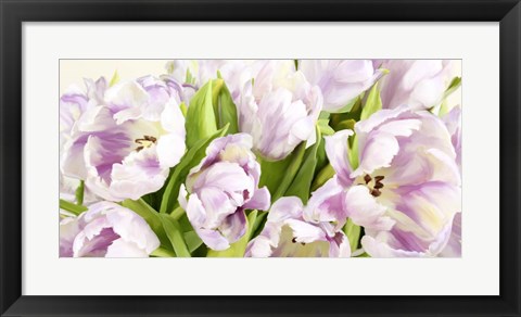 Framed Tulipes en Fleur Print