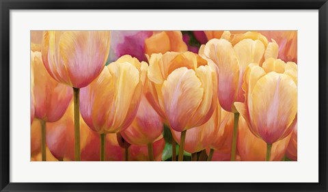 Framed Summer Tulips Print