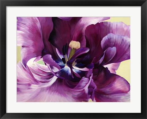 Framed Purple Tulip Close-up Print