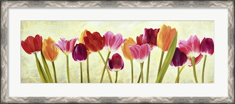 Framed Tulip Parade Print