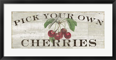 Framed Farm Fresh Cherries Print