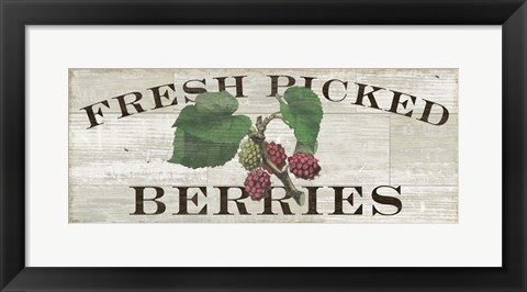 Framed Farm Fresh Berries Print