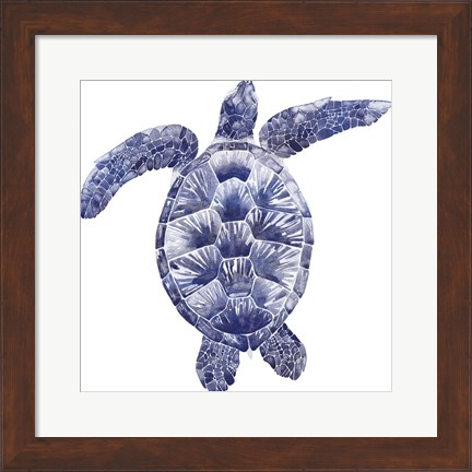 Framed Marine Turtle II Print