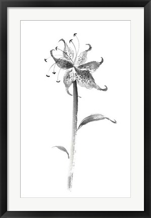 Framed Ink Tiger Lily Print