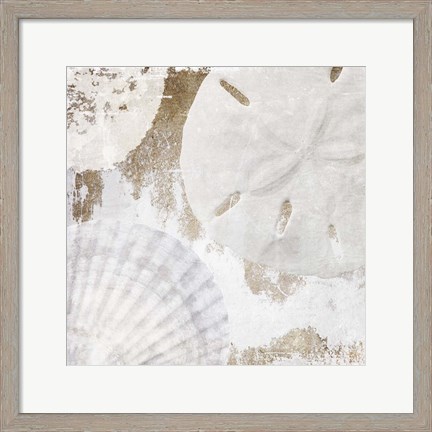 Framed White Shells I Print
