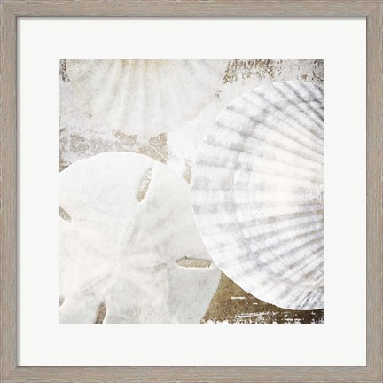 Framed White Shells II Print