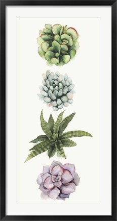 Framed Row of Succulents II Print