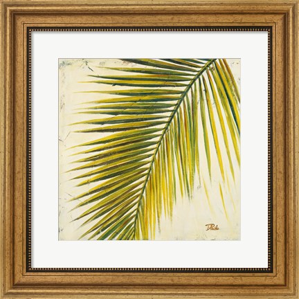 Framed Baru Palm I Print