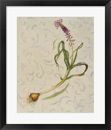 Framed Botanica IV Print