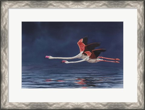 Framed Flying Flamingos Print