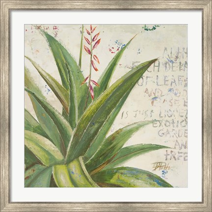 Framed Aloe II Print