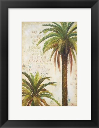 Framed Palms &amp; Scrolls I Print