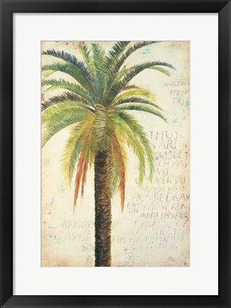 Framed Palms &amp; Scrolls II Print