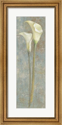 Framed Calla Lily II Print