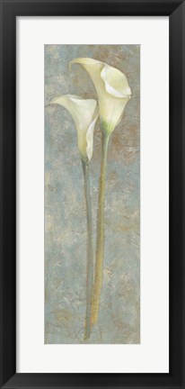 Framed Calla Lily II Print